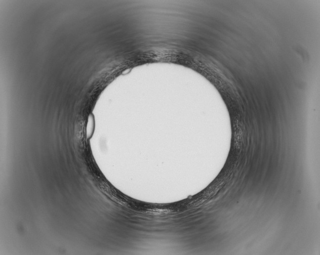 X0000110720748200907241206