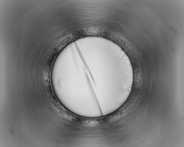 X0000110720749200907241206