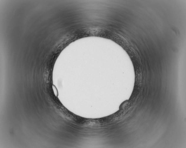 X0000110720750200907241207