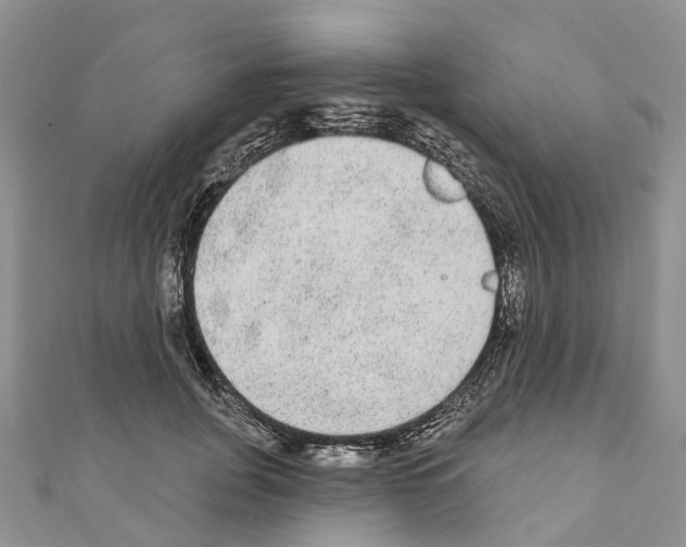 X0000110720751200907241207