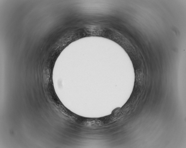 X0000110720752200907241207