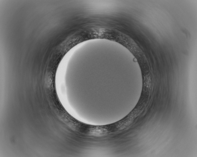 X0000110720754200907241207