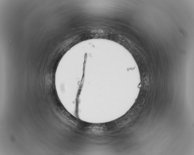 X0000110720756200907241207