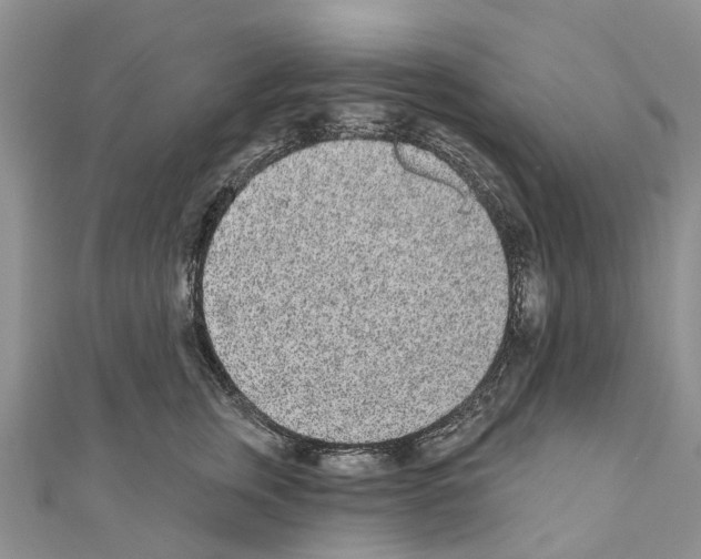 X0000110720759200907241207