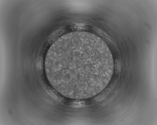 X0000110720760200907241207