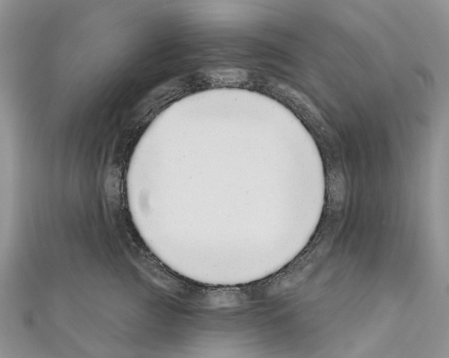 X0000110720761200907241207