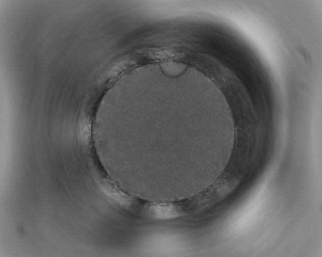 X0000110720767200907241207