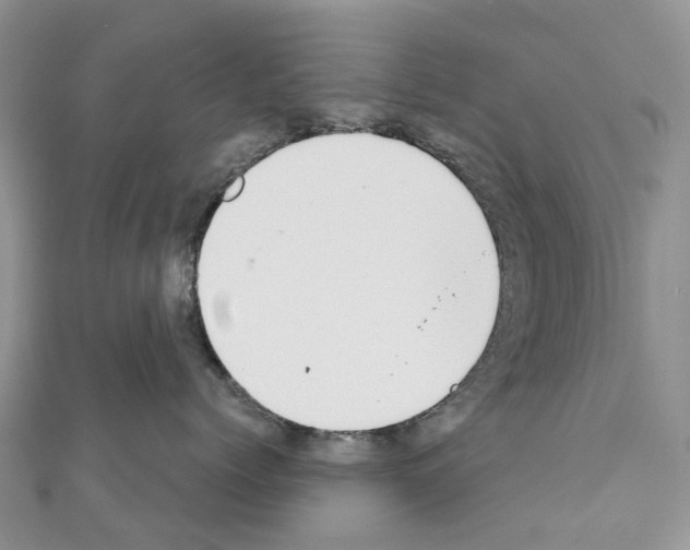 X0000110720768200907241207