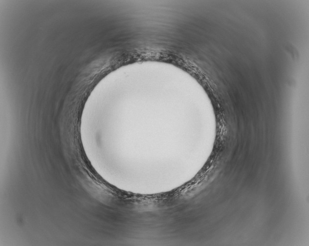 X0000110720769200907241206