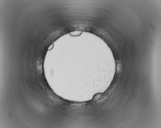 X0000110720771200907241206