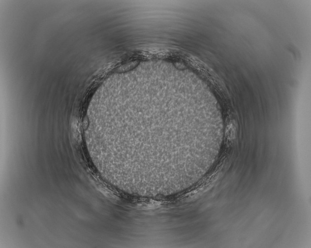 X0000110720772200907241206