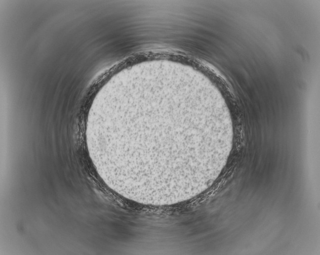 X0000110720775200907241206