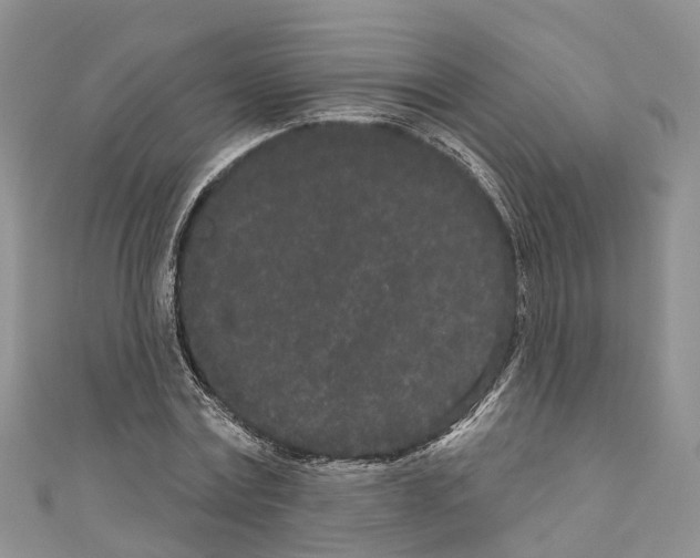 X0000110720779200907241206