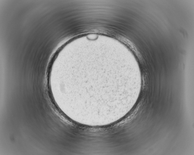 X0000110720780200907241206