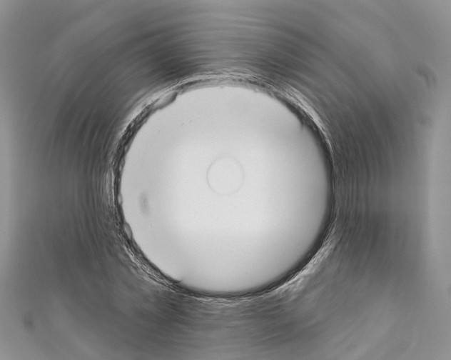 X0000110720781200907241206