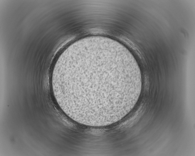 X0000110720782200907241206