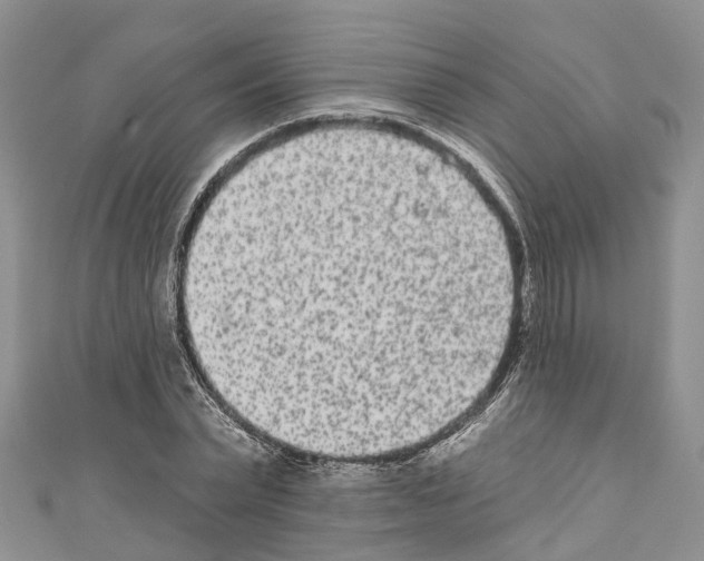 X0000110720783200907241206