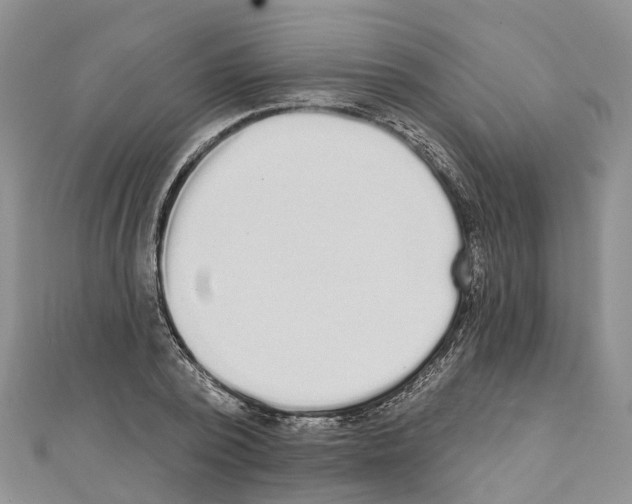 X0000110720784200907241206