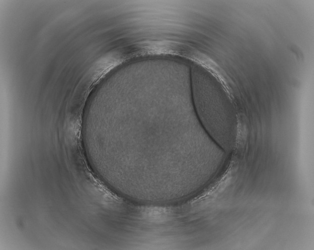 X0000110720785200907241206