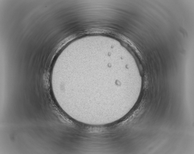 X0000110720786200907241206