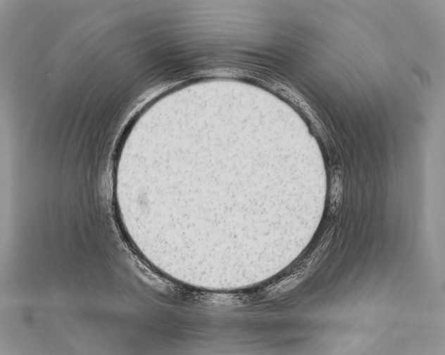 X0000110720787200907241206