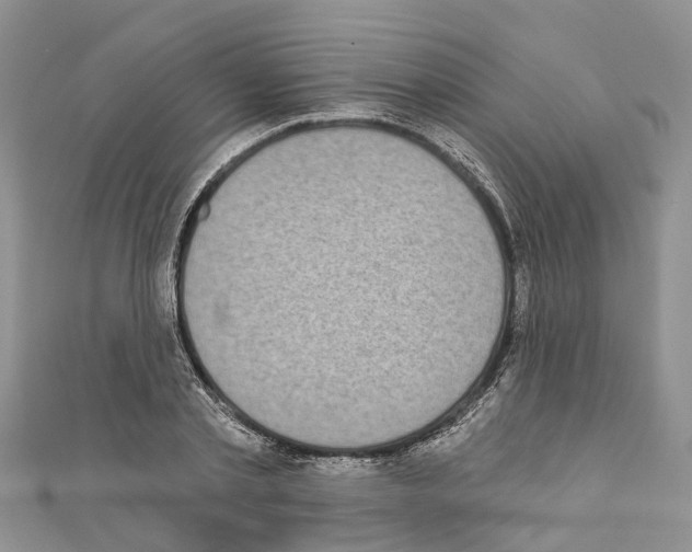 X0000110720789200907241206