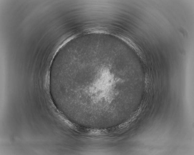 X0000110720790200907241206