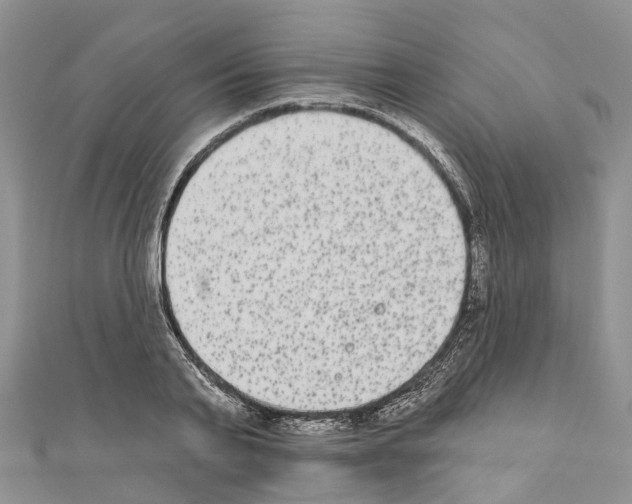 X0000110720791200907241206