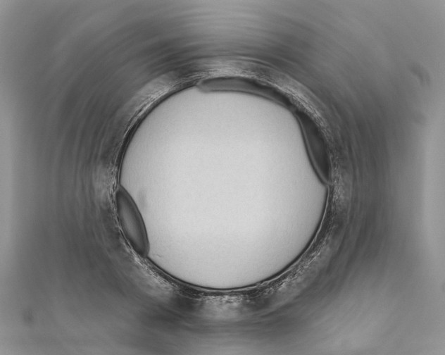 X0000110720793200907241206