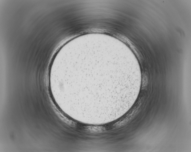 X0000110720795200907241206