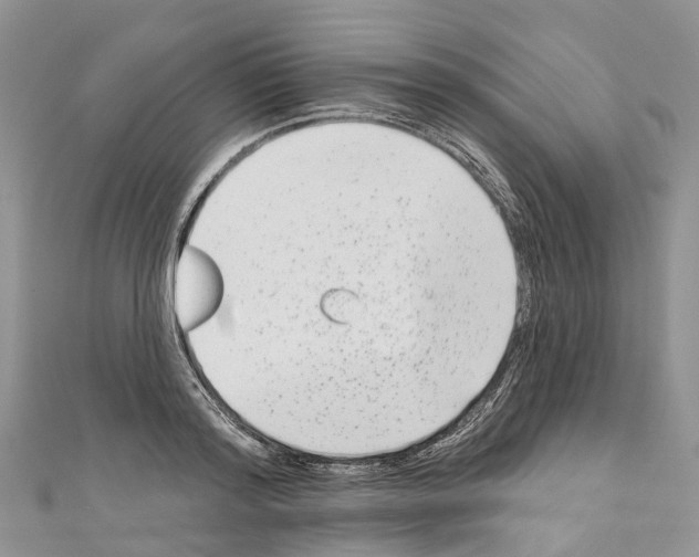 X0000110720796200907241206