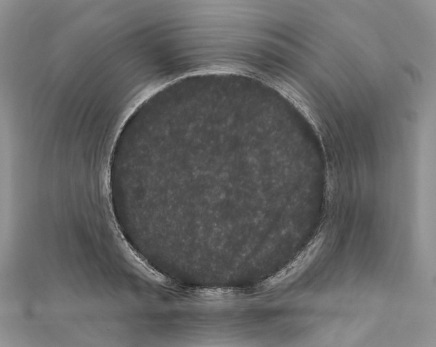 X0000110720797200907241206