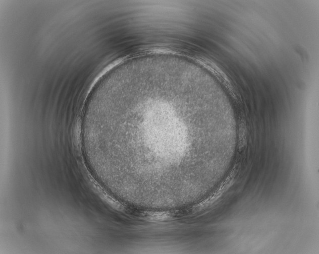 X0000110720798200907241206