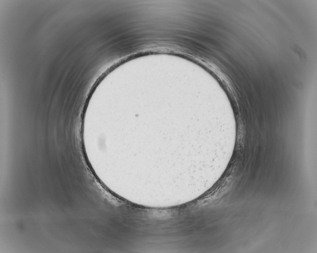 X0000110720799200907241206