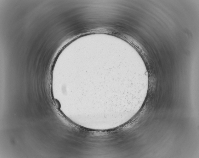 X0000110720800200907241206