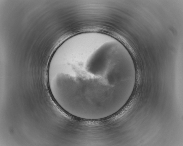 X0000110720802200907241206