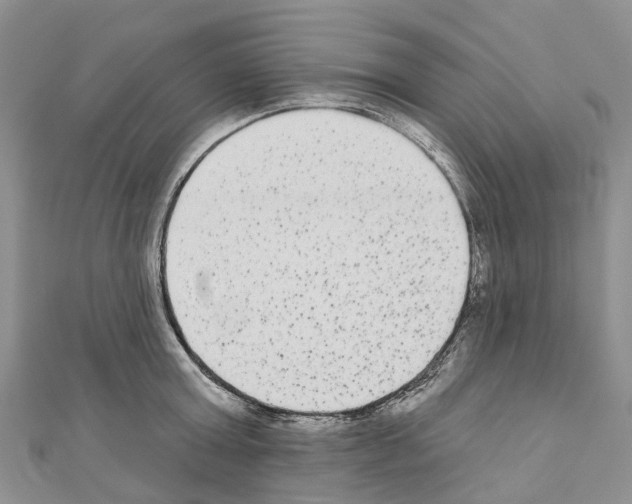 X0000110720803200907241206