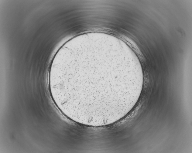 X0000110720804200907241206