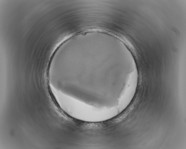 X0000110720806200907241206