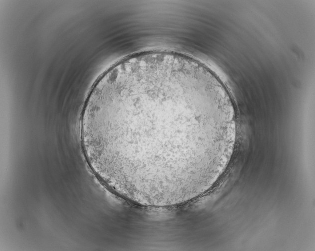 X0000110720807200907241206