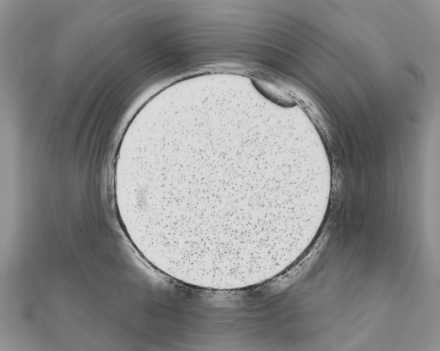 X0000110720808200907241206