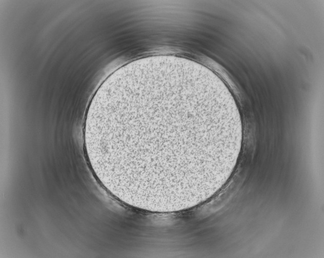 X0000110720810200907241206