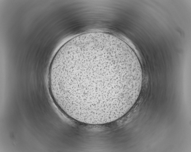 X0000110720811200907241206