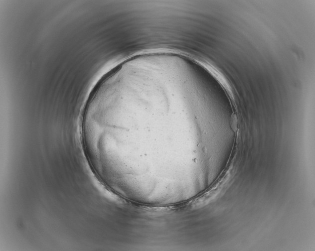 X0000110720813200907241206