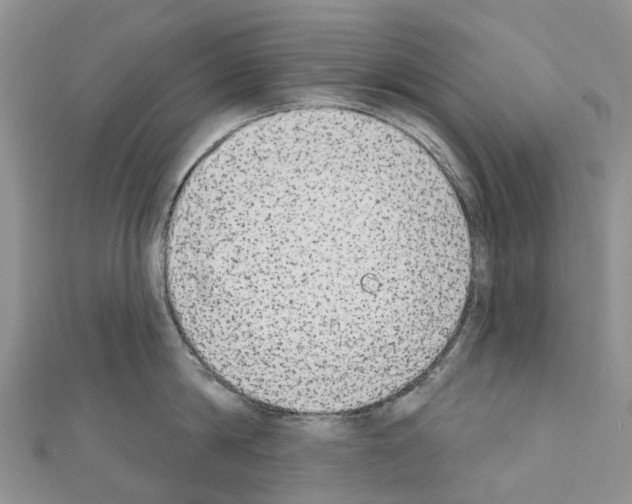 X0000110720814200907241206