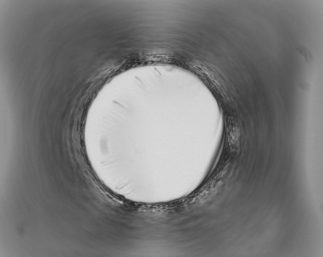 X0000110720817200907241205