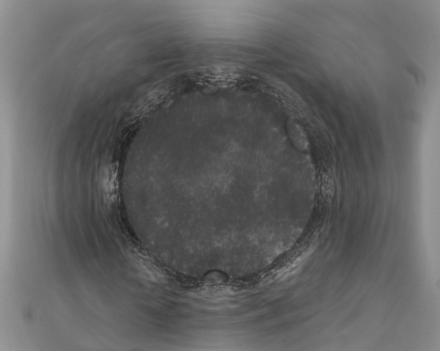 X0000110720818200907241205