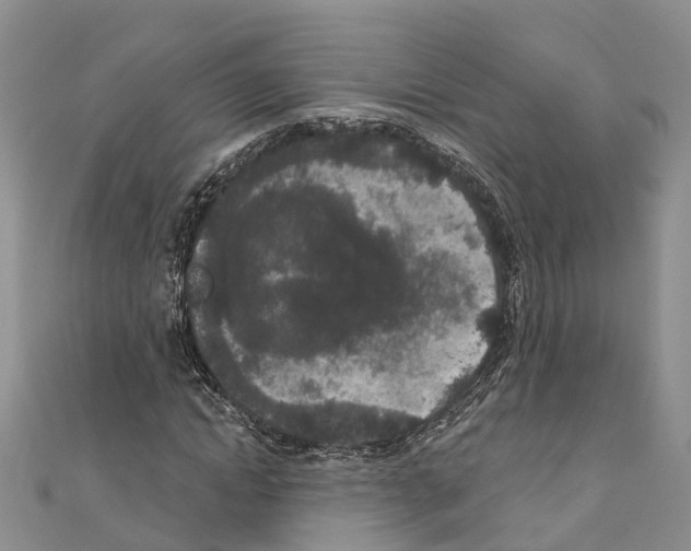 X0000110720822200907241205