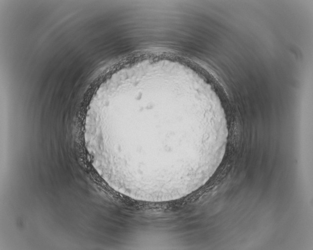 X0000110720823200907241205