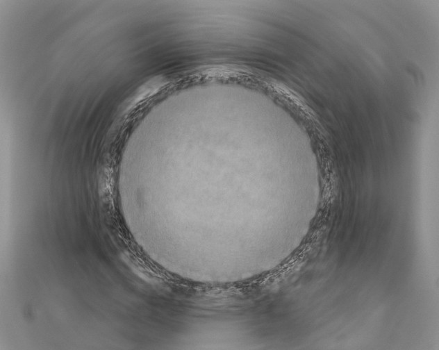 X0000110720824200907241205